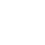 Despiece motor